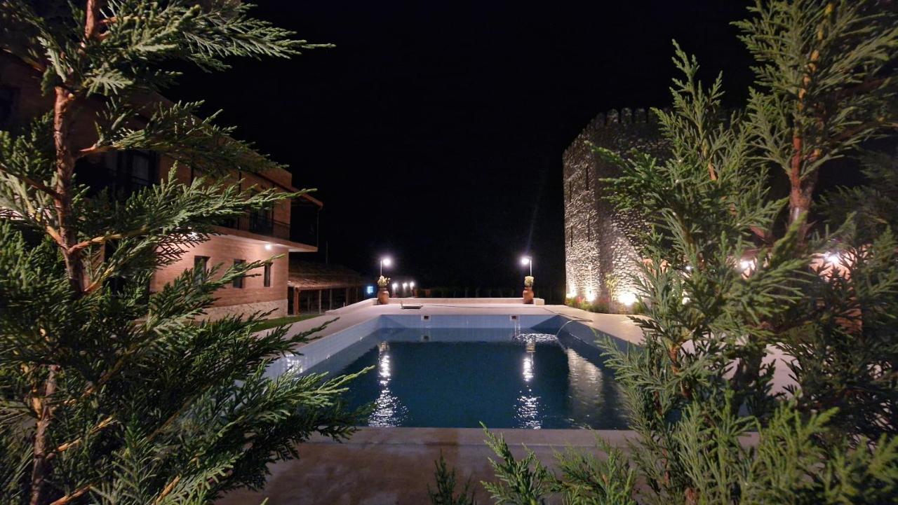 Giorgi Ushikishvilis Chateau-Marani Akhmeta Exterior foto