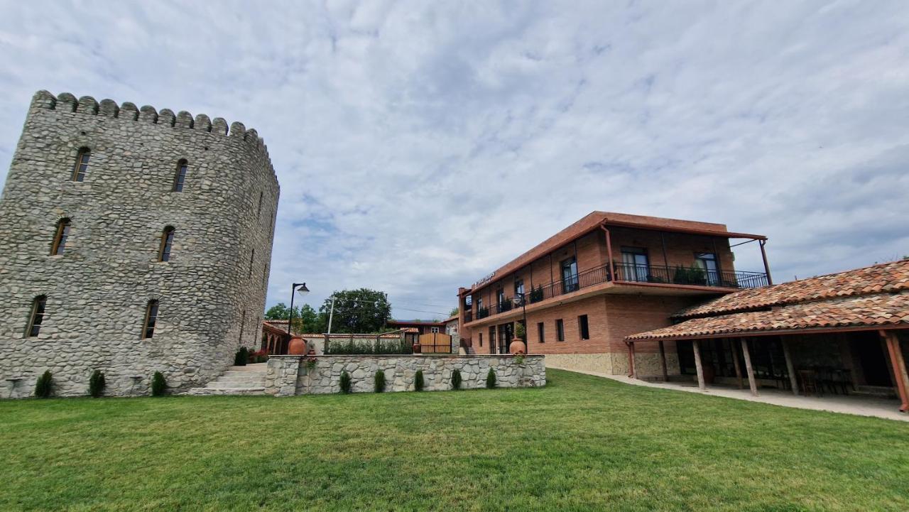 Giorgi Ushikishvilis Chateau-Marani Akhmeta Exterior foto